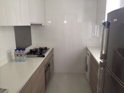 Boathouse Residences (D19), Condominium #489674361